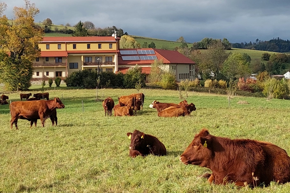 Alpenverein edelweiss OEAV.CZ Hotel Kopanice