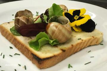 Alpenverein OEAV.CZ Extrem Food 2019