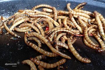 Alpenverein OEAV.CZ Extrem Food 2019