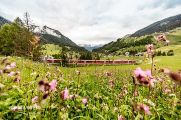 Rhétská dráha - oeav - alpenverein
