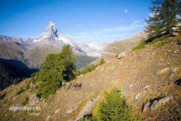 Alpenverein OEAV.CZ Matterhorn Ultraks