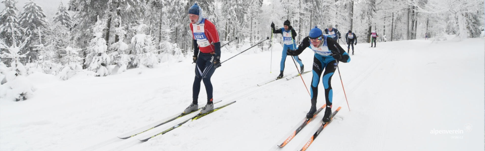 Alpenverein OEAV.CZ JeLyMan 2019