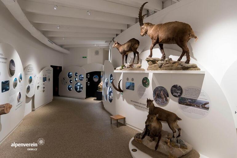 Alpenverein OEAV.CZ Alpe Adria Trail