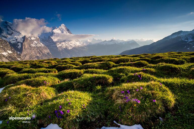 Alpenverein OEAV.CZ Grindelwald