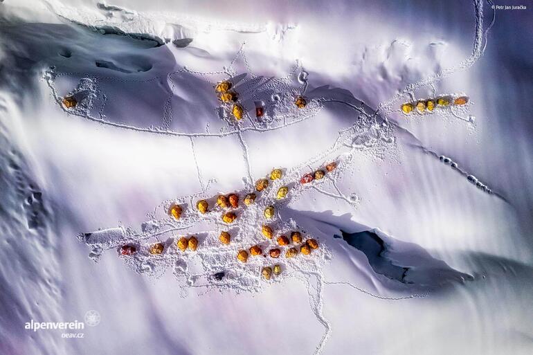 Alpenverein OEAV.CZ Highpoint