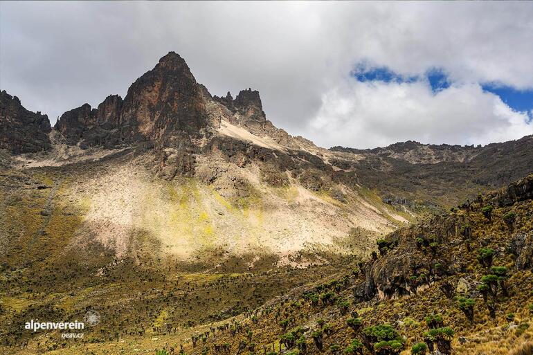 Alpenverein OEAV.CZ Koktejl