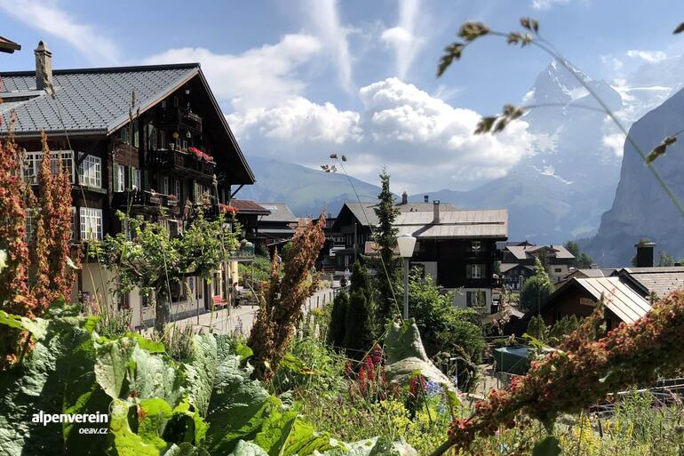 Alpenverein OEAV.CZ Schilthorn