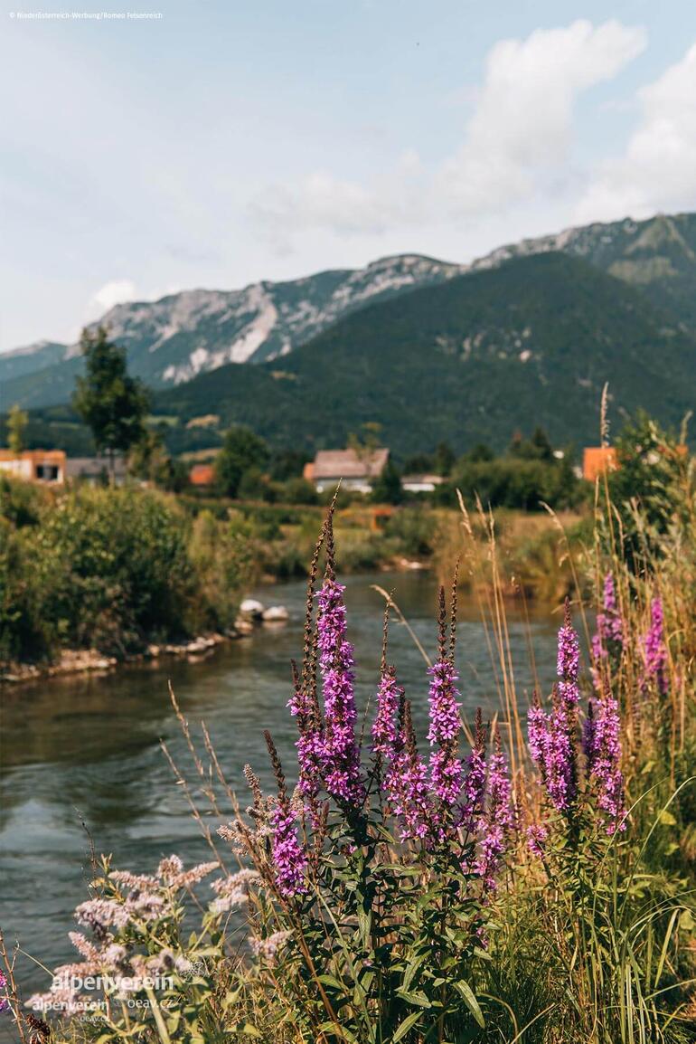 Alpenverein OEAV.CZ Semmering