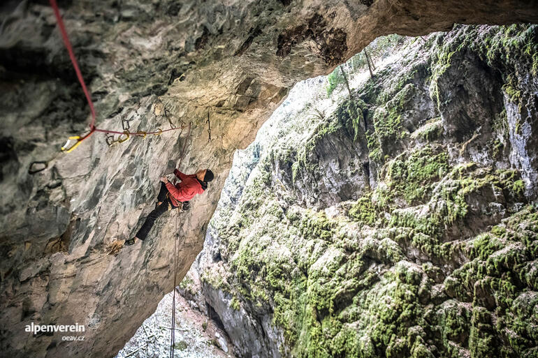 Alpenverein OEAV.CZ | Klenba Macochy volně!