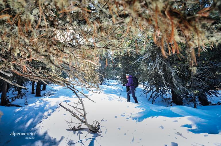 Alpenverein edelweiss OEAV.CZ dolní engadin skialpy sněžnice