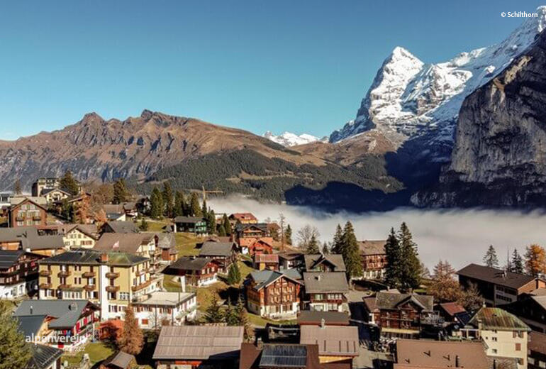 Alpenverein edelweiss OEAV.CZ schilthorn