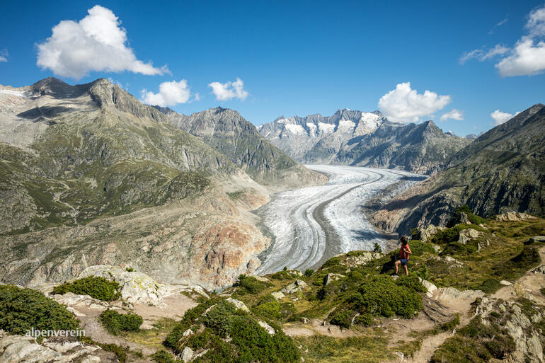 Alpenverein OEAV.CZ 100Alps