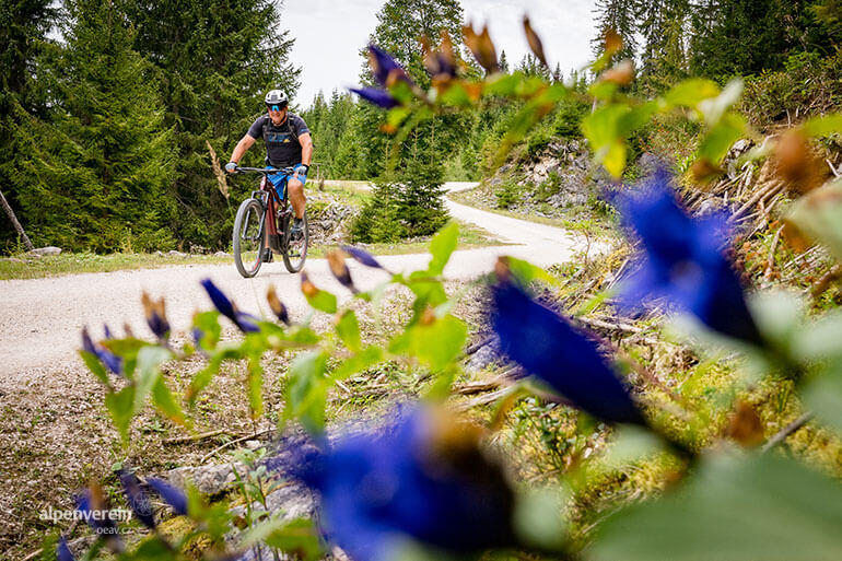 Alpenverein OEAV Gosau