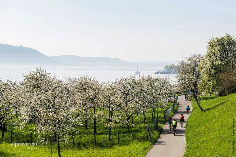 Alpenveerein OEAV.CZ Dovolená Německo